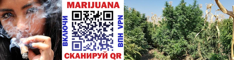 Купить закладки  Бийск  Бошки Шишки конопля 